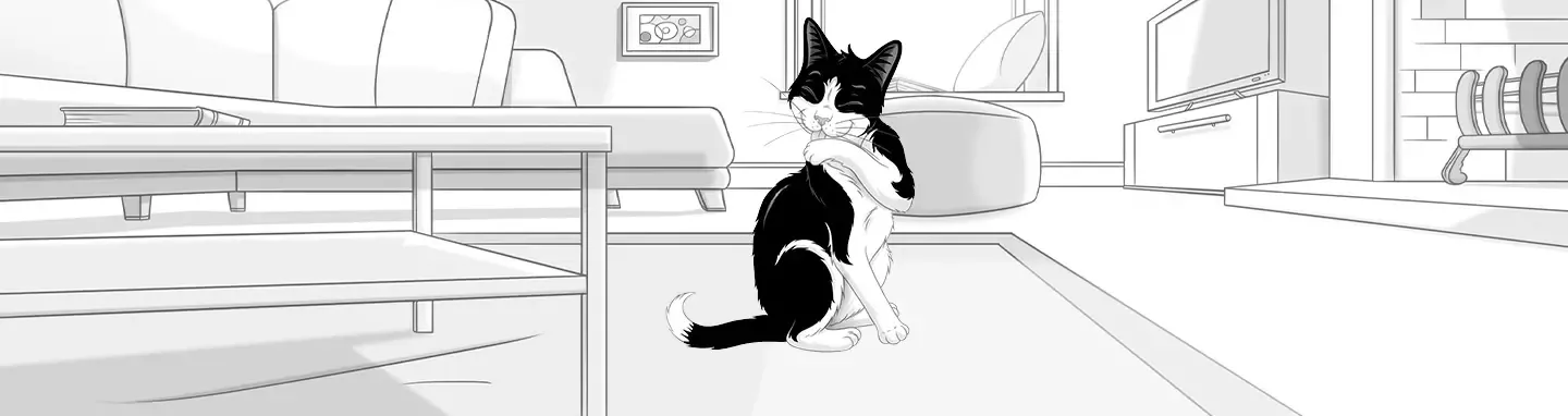 Felix banner