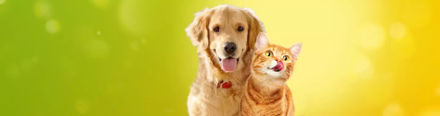 Friskies banner