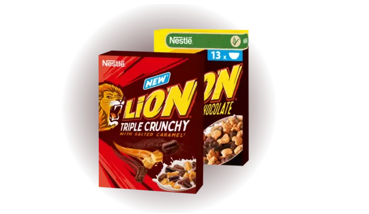 Lion obrázek 2