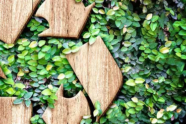 Recyklací k lepším zítřkům