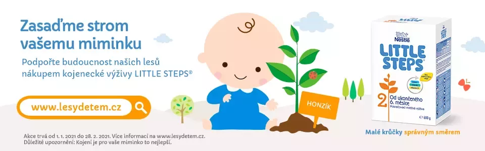 Little_Steps_CZ_banner_960x300_1_2021_v1A.jpg